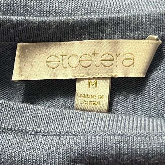 Etcetera Womens Size M Blue Viscose Silk Dolman Sleeve Pullover Sweater - Picture 4 of 4